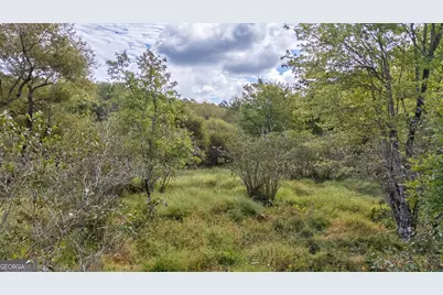 0 Old Salem Road #TRACT 3, Watkinsville, GA 30677 - Photo 6