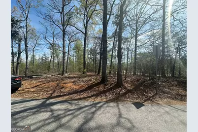 1035 Jenkins Ferry Road, Martin, GA 30557 - Photo 2