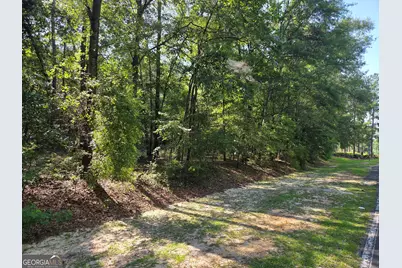 251 Riverview Drive, Dublin, GA 31021 - Photo 8