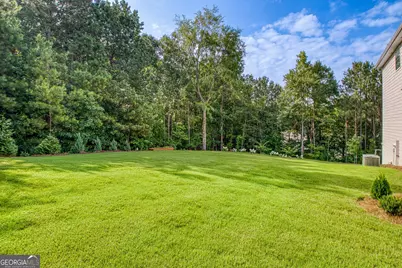 51 Boardwalk, Sharpsburg, GA 30277 - Photo 48