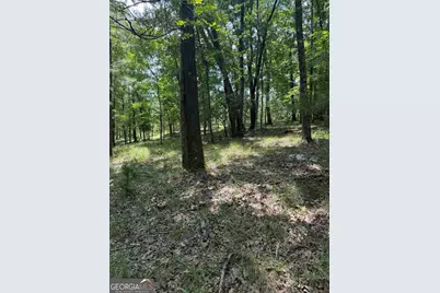 0 Pleasant Valley Road, Thomaston, GA 30286 - Photo 6