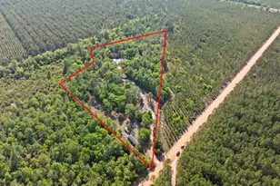 1234 Bennett Rd, Screven, GA 31560 - Photo 4