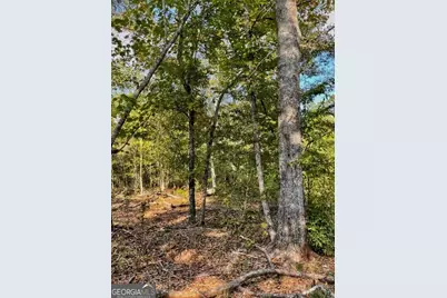 0 Highway 36 E, Jackson, GA 30233 - Photo 6