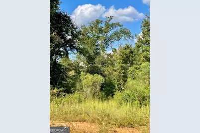0 Highway 36 E, Jackson, GA 30233 - Photo 8
