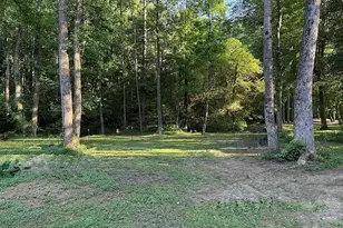52 Hickory Ridge Dr, Ellijay, GA 30536 - Photo 44