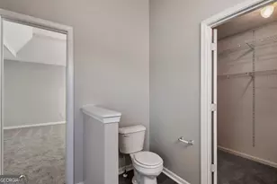 10744 Misty Meadows Ct, Hampton, GA 30228 - Photo 22