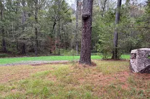 0 Buttermilk Rd, Millen, GA 30442 - Photo 4