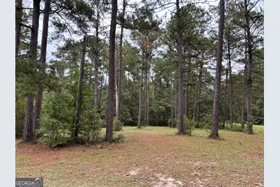 0 Buttermilk Road, Millen, GA 30442 - Photo 2