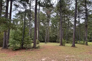 0 Buttermilk Rd, Millen, GA 30442 - Photo 2