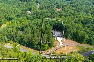 87 Whisper Pl, Marble Hill, GA 30148 - Photo 54