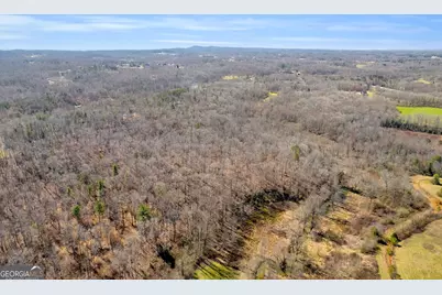 0 Gladston Drive, Mount Airy, GA 30563 - Photo 32