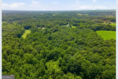 0 Gladston Drive, Mount Airy, GA 30563 - Photo 8