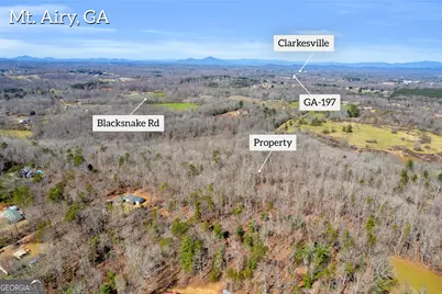 0 Gladston Drive, Mount Airy, GA 30563 - Photo 28