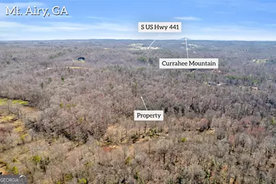 0 Gladston Drive, Mount Airy, GA 30563 - Photo 30