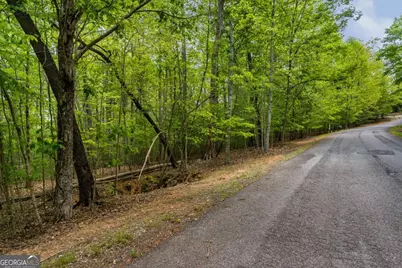 Lot 3-4 Scouts Overlook Lane, Morganton, GA 30560 - Photo 42