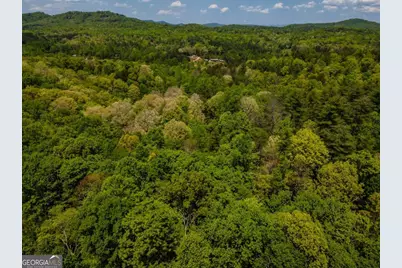 Lot 3-4 Scouts Overlook Lane, Morganton, GA 30560 - Photo 48