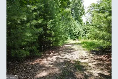 Lot 3-4 Scouts Overlook Lane, Morganton, GA 30560 - Photo 20