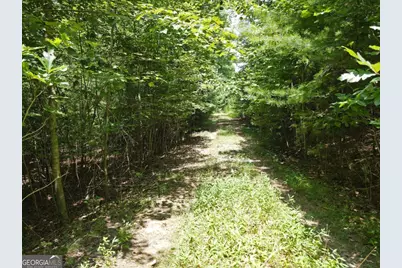 Lot 3-4 Scouts Overlook Lane, Morganton, GA 30560 - Photo 22