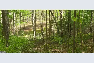 Lot 3-4 Scouts Overlook Lane, Morganton, GA 30560 - Photo 2