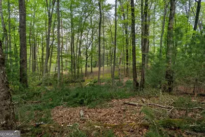 Lot 3-4 Scouts Overlook Lane, Morganton, GA 30560 - Photo 4