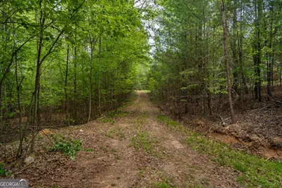 Lot 3-4 Scouts Overlook Lane, Morganton, GA 30560 - Photo 44