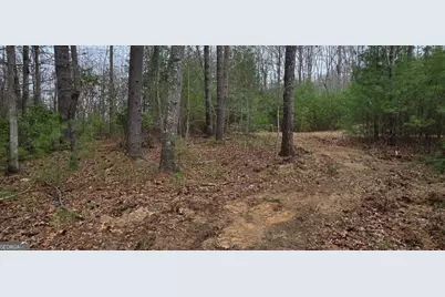 Lot 3-4 Scouts Overlook Lane, Morganton, GA 30560 - Photo 8