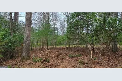 Lot 3-4 Scouts Overlook Lane, Morganton, GA 30560 - Photo 16