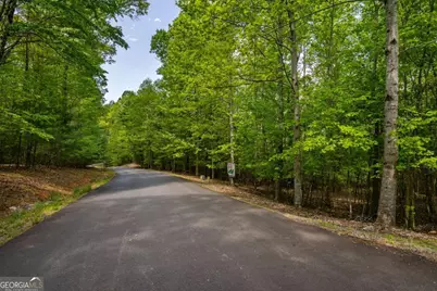 Lot 3-4 Scouts Overlook Lane, Morganton, GA 30560 - Photo 38