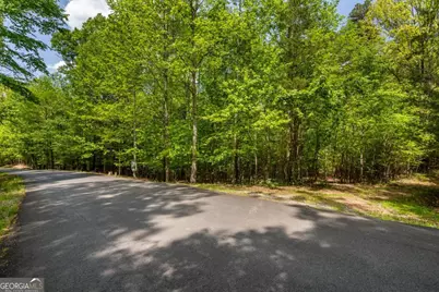 Lot 3-4 Scouts Overlook Lane, Morganton, GA 30560 - Photo 30