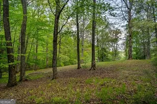 Lot 3-4 Scouts Overlook Ln, Morganton, GA 30560 - Photo 1