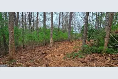 Lot 3-4 Scouts Overlook Lane, Morganton, GA 30560 - Photo 10