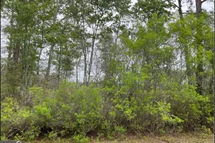0 1601Ac, Townsend, GA 31331 - Photo 1