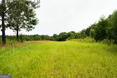990 Ga Hwy 49 S, Americus, GA 31719 - Photo 48
