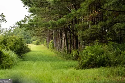 990 Ga Hwy 49 S, Americus, GA 31719 - Photo 90
