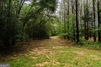 990 Ga Hwy 49 S, Americus, GA 31719 - Photo 58