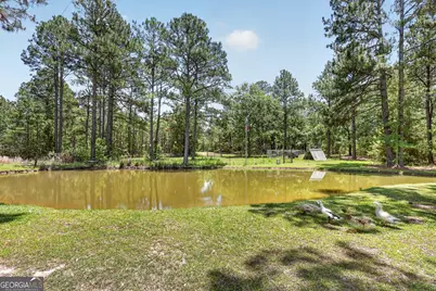 300 Johnson Drive, Sylvania, GA 30467 - Photo 36
