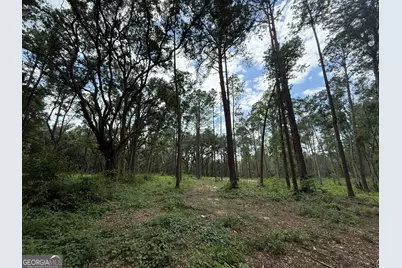1144 Highway 80, Swainsboro, GA 30401 - Photo 10