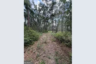 1144 Highway 80, Swainsboro, GA 30401 - Photo 6