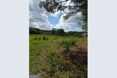 0 Trickum Creek Road, Tyrone, GA 30290 - Photo 2