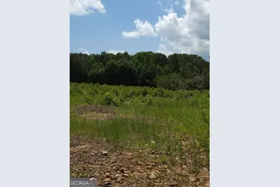 0 Trickum Creek Road, Tyrone, GA 30290 - Photo 6