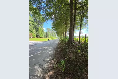0 Trickum Creek Road, Tyrone, GA 30290 - Photo 8