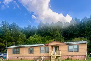 215 Grogan Rd, Buchanan, GA 30113 - Photo 1
