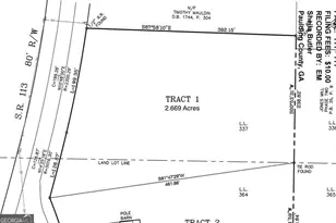 5544 State Rte 101 N, Dallas, GA 30132 - Photo 4