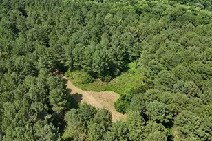 3729 Duncan Bridge Rd, Cornelia, GA 30531 - Photo 62