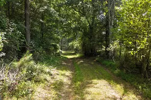3729 Duncan Bridge Rd, Cornelia, GA 30531 - Photo 56
