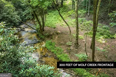00 Mill Race Drive, Mineral Bluff, GA 30559 - Photo 1