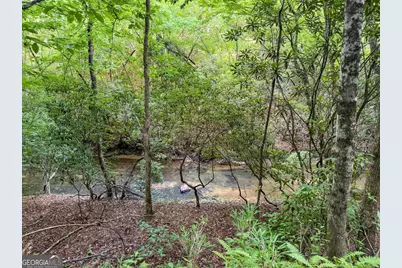 00 Mill Race Drive, Mineral Bluff, GA 30559 - Photo 24