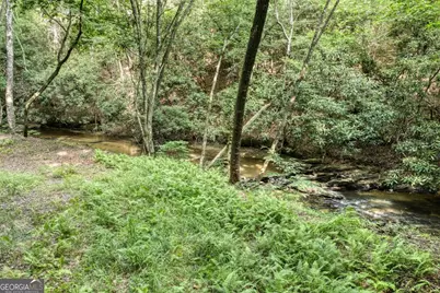 00 Mill Race Drive, Mineral Bluff, GA 30559 - Photo 10