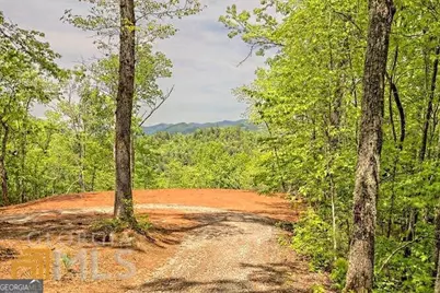 0 Wynngate Drive #21, Dillard, GA 30537 - Photo 2