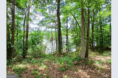 548 Old Beacon Light Road, Hartwell, GA 30643 - Photo 8